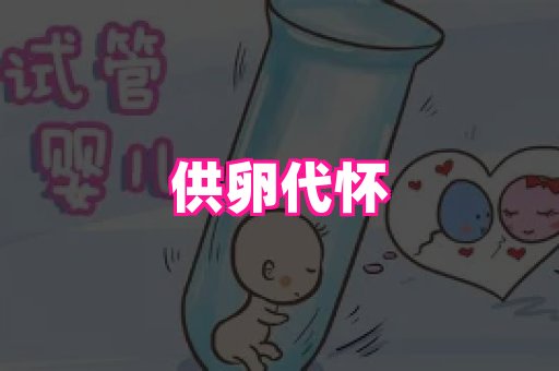 生殖助孕网站 1